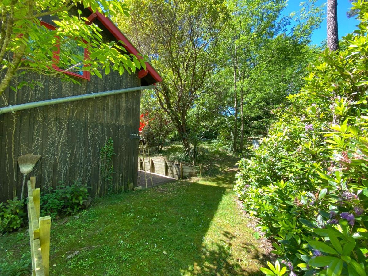 Le Loft Au-Dessus Des Pins Lacanau Exterior photo