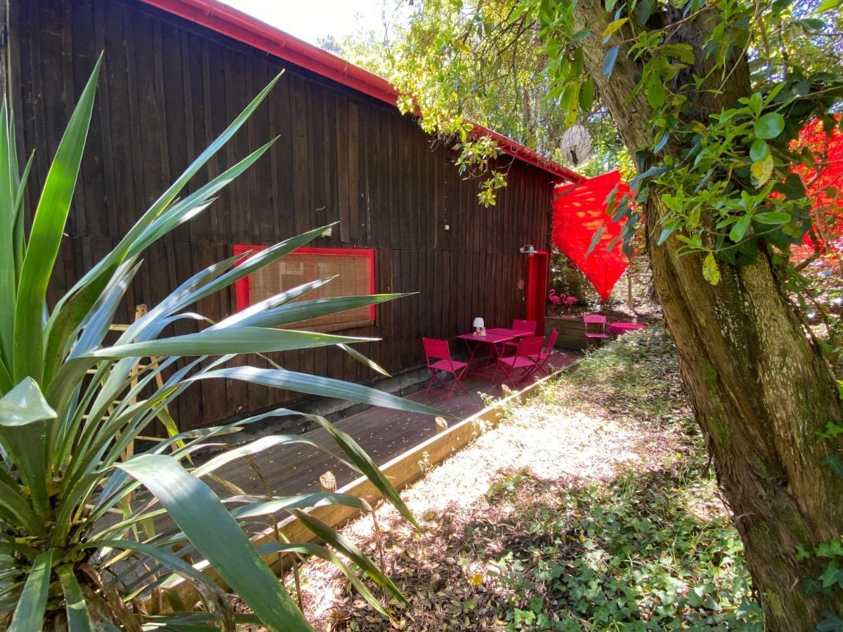 Le Loft Au-Dessus Des Pins Lacanau Exterior photo