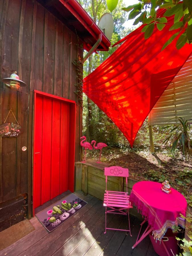 Le Loft Au-Dessus Des Pins Lacanau Exterior photo