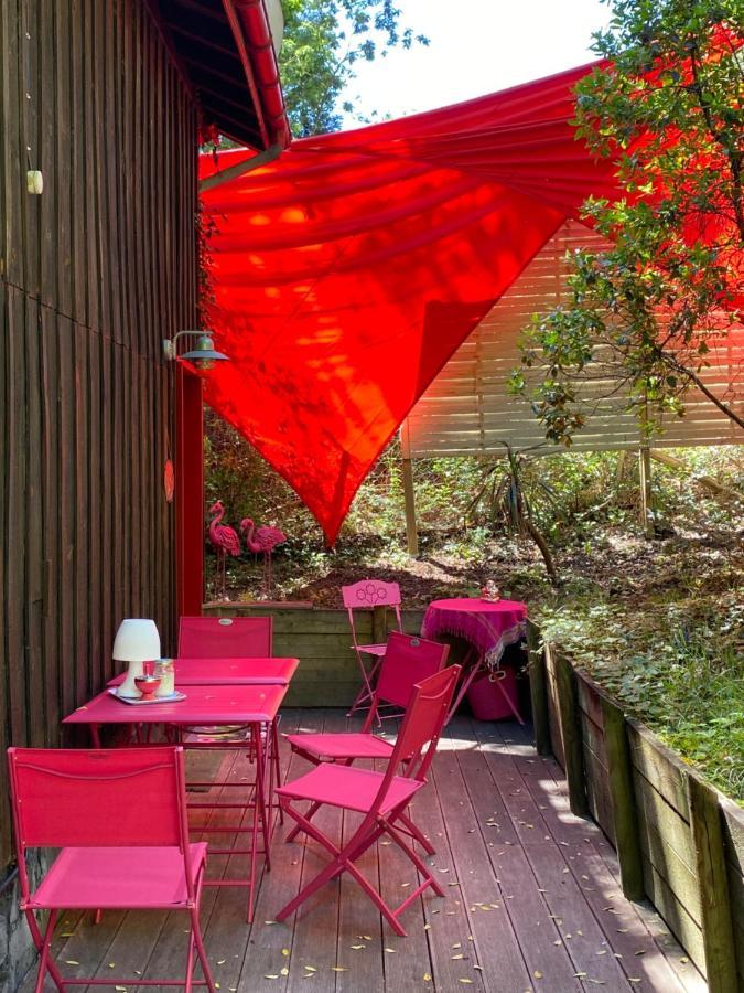 Le Loft Au-Dessus Des Pins Lacanau Exterior photo